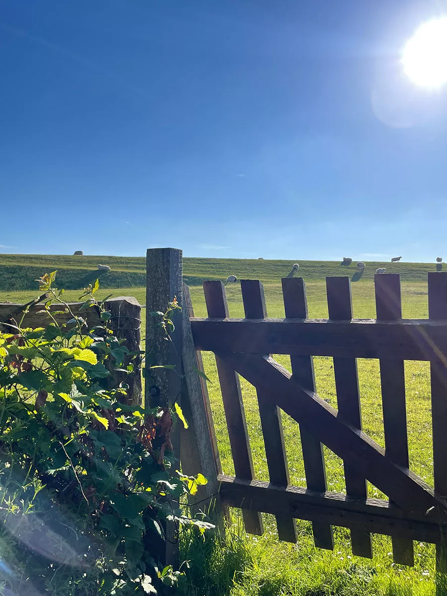Ferienhaus Deichsonne – direkter Zugang zum Deich, Natur- und Nordseeurlaub