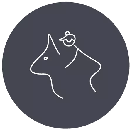 Aktiv-Urlaub auf dem Rücken der Pferde und mit dem Wind am Strand entlang reiten.