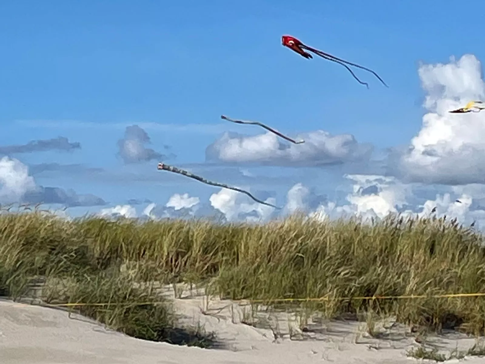 Eiderstedt – Drachensteigen am Strand in St. Peter-Ording, Urlaub an der Nordsee