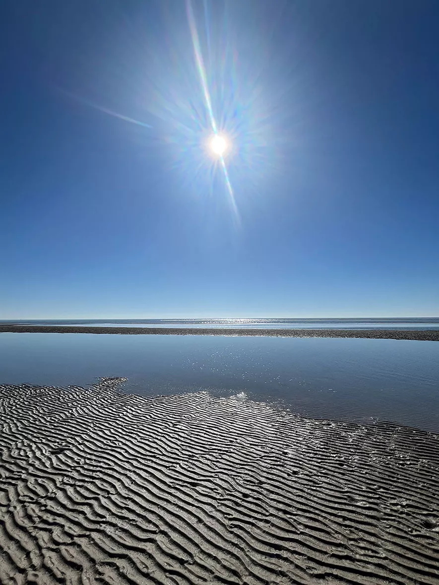 Eiderstedt – spektakulärer Blick auf das Wattenmeer in Vollerwiek, Urlaub im Naturparadies