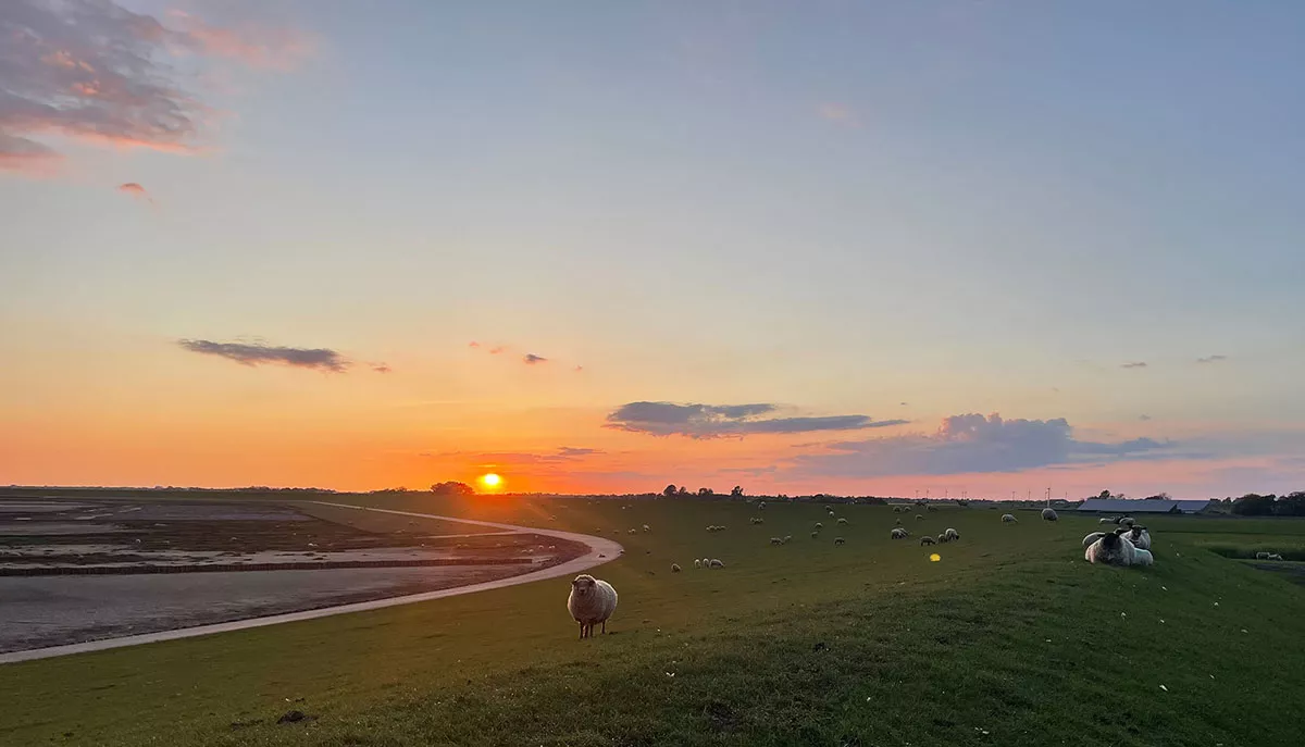 Auszeit am Meer: Sonnenuntergang am Deich in Vollerwiek